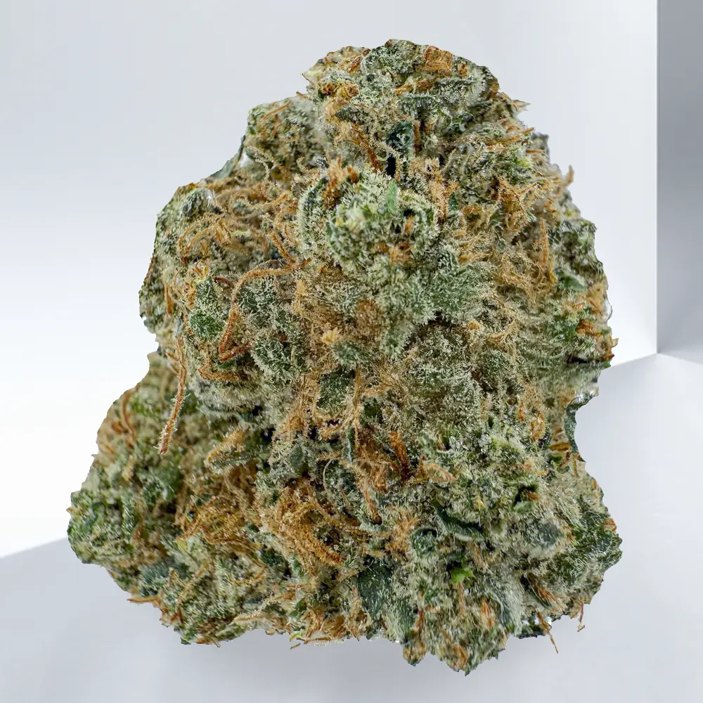 324-PINK-SPACE-COOKIES.webp