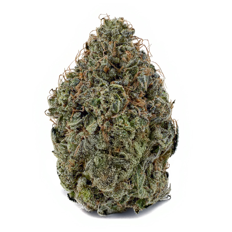 356-PINK-STICKY-ICKY.jpg