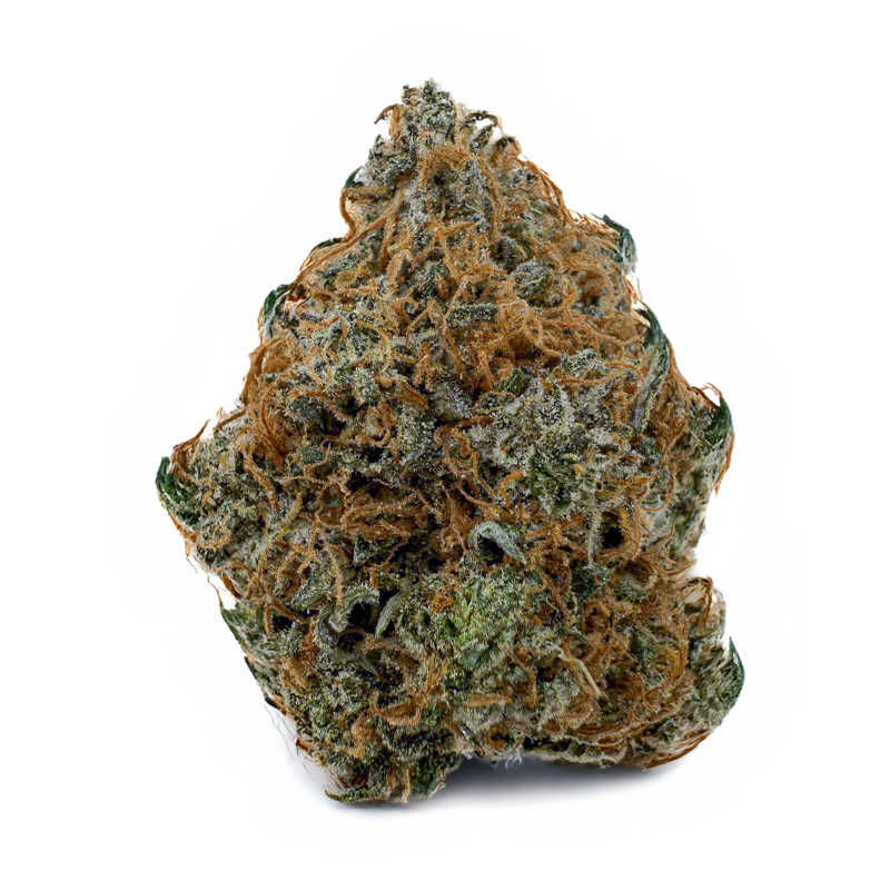 359-PURPLE-PUNCH.jpg