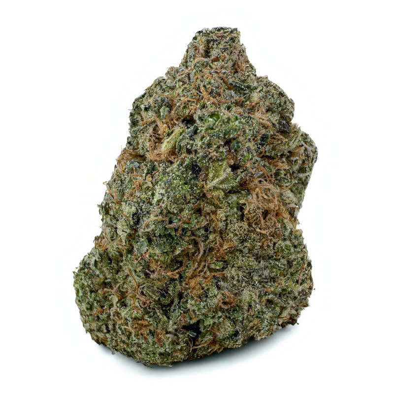 408-PINK-GLIZZY.jpg